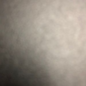 Meet your Posher, Daisy